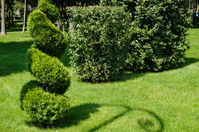 Add a touch of elegance to your property's landscaping
