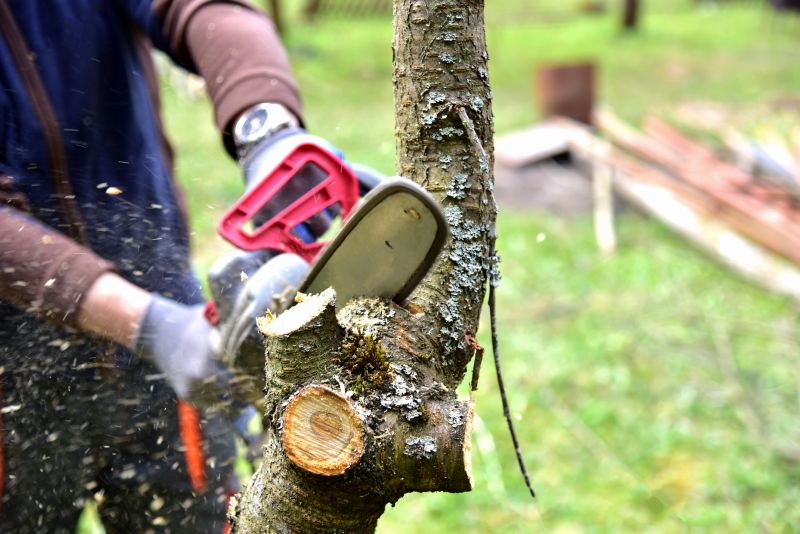 Cedar Tree Trimming in Pottstown, PA
