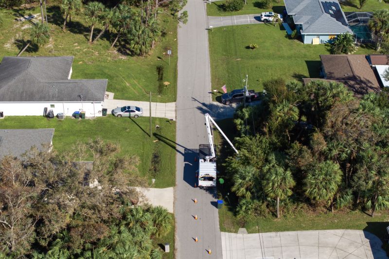Ornamental Tree Trimming