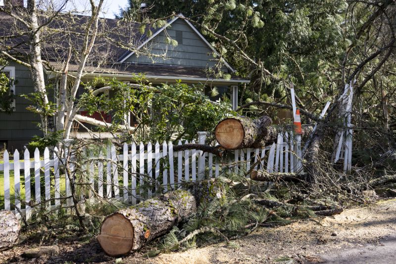 Emergency Tree Removal in Doylestown, PA