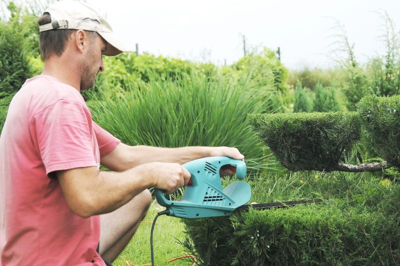Hedge Shaping Service in Rockwall, TX