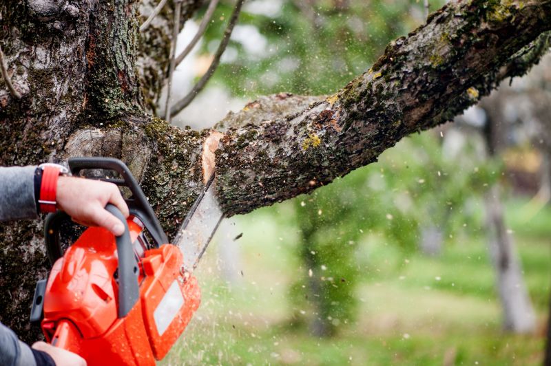 Mimosa Tree Removal in Pottstown, PA