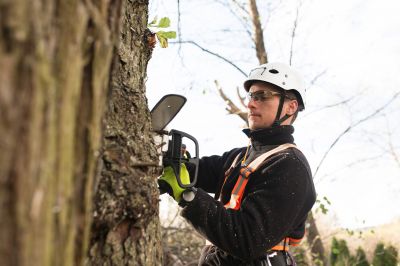Certified Arborist